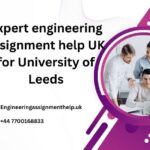 Expert engineering assignment help UK for University of Leeds
