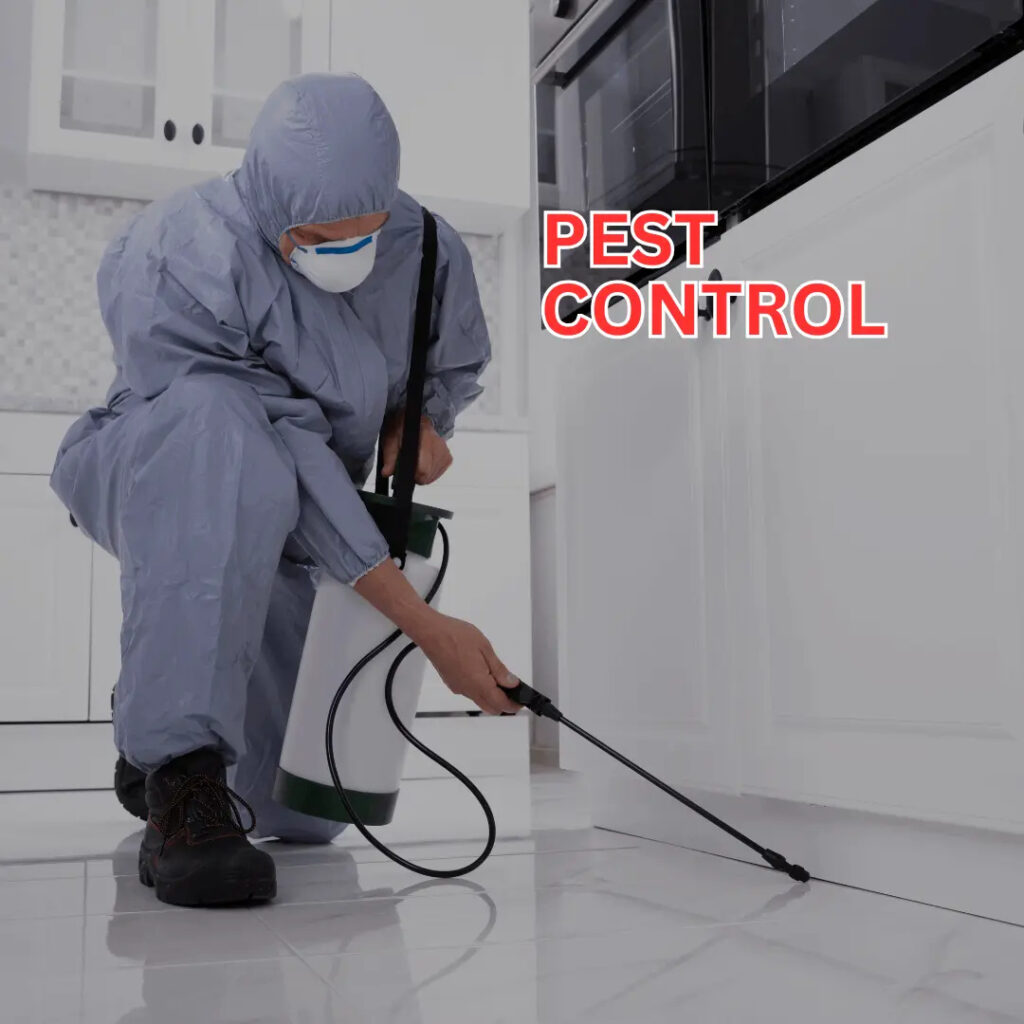 Comprehensive Pest Control Services for a Safe, Pest-Free Home