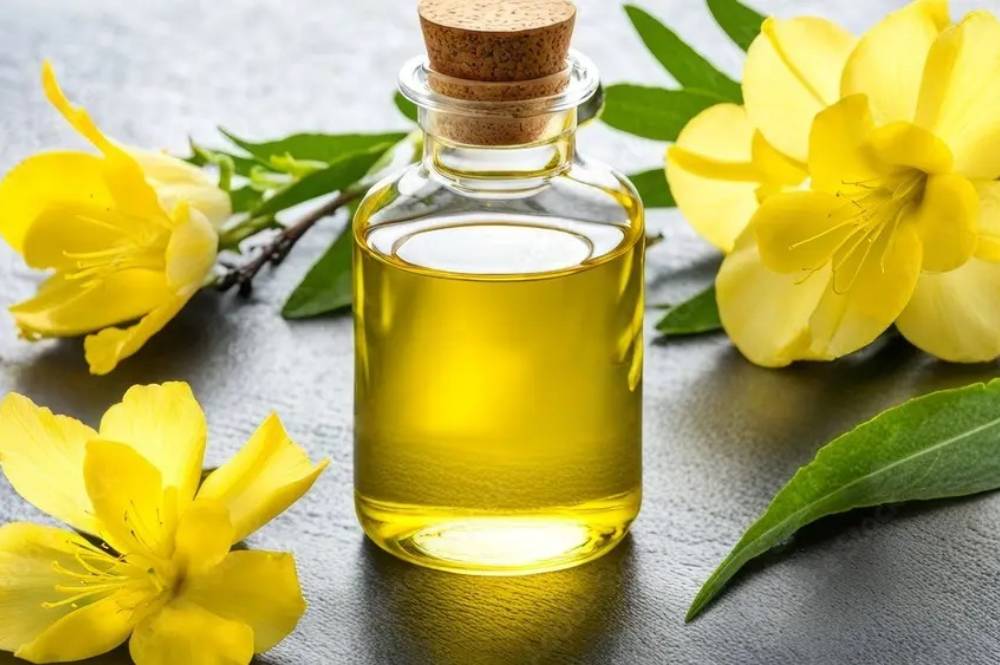 Carrier Oil Bulk Suppliers: A Complete Guide for Manufacturers and Brands