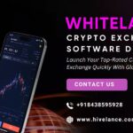Accelerate Your Crypto Excahnge Launch with Customizable Whitelabel Exchange Software