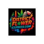 How Do You Choose the Best DC Cannabis Store Near You?