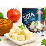 Soya Paneer Tofu A Healthy Plant-Based Protein for Daily Meals