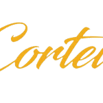 Streetwear d’hiver porter Stussy Holiday ’25 en ville