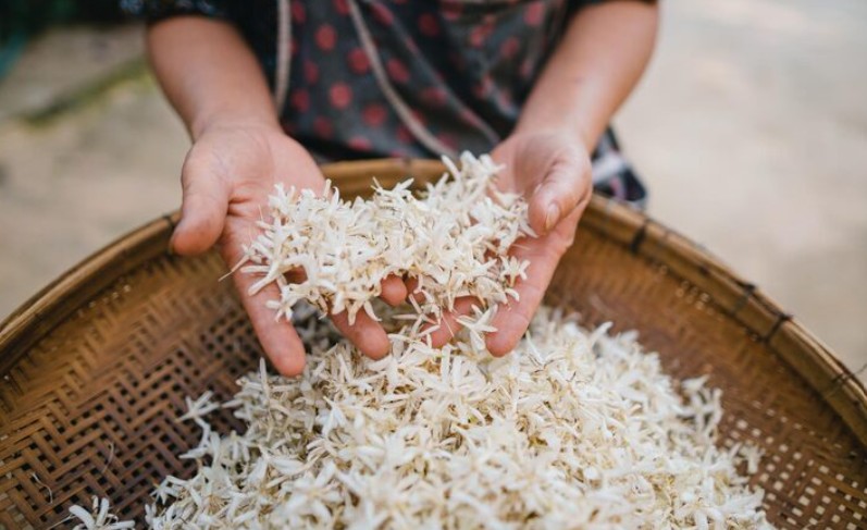 What Is 1121 Basmati Rice? Benefits, Quality & Uses Explained