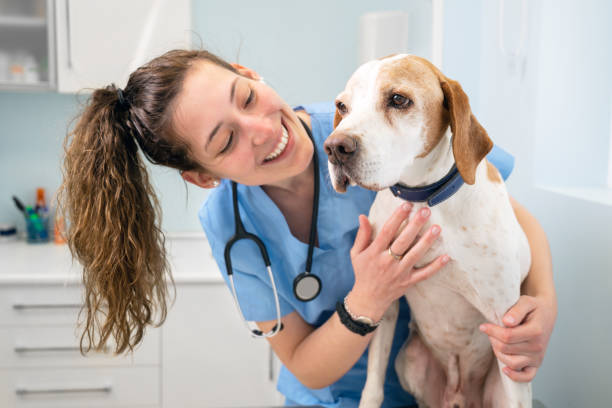 Park Hills Animal Hospital: Trusted Care for Your Pets