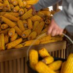 Understanding India’s Role as a Global FMCG Export Hub: Snacks, Beverages, and Bulk Supply Chains