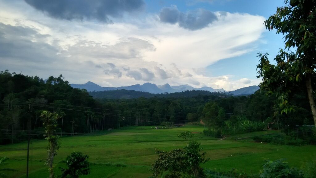 Explore Affordable Kerala Tour Packages for Every Budget