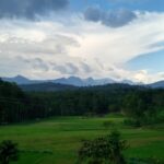 Explore Affordable Kerala Tour Packages for Every Budget