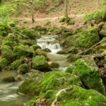 How to Find the Best Kerala Tour Packages Under ₹50,000