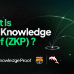 Zero-Knowledge Proofs (ZKP): Building Trust in a Privacy-First AI World