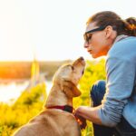 What Signs Show Animal Is Trying Share Feelings Today?