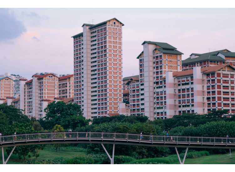 What Makes Singaporean Food So Addictive?