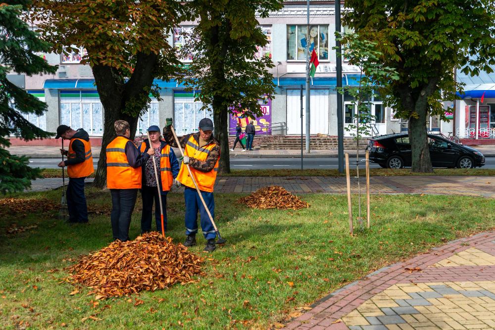 Building Strong, Green Lawns with Fertilization Services in Colorado