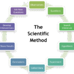 Fundamentals of Nursing 12th Edition: A Complete Guide for Nursing Students and Educators