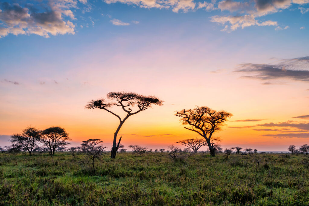 Tanzania eVisa Guide for Norwegian Travelers