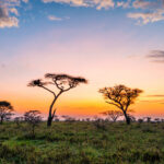 Tanzania eVisa Guide for Norwegian Travelers