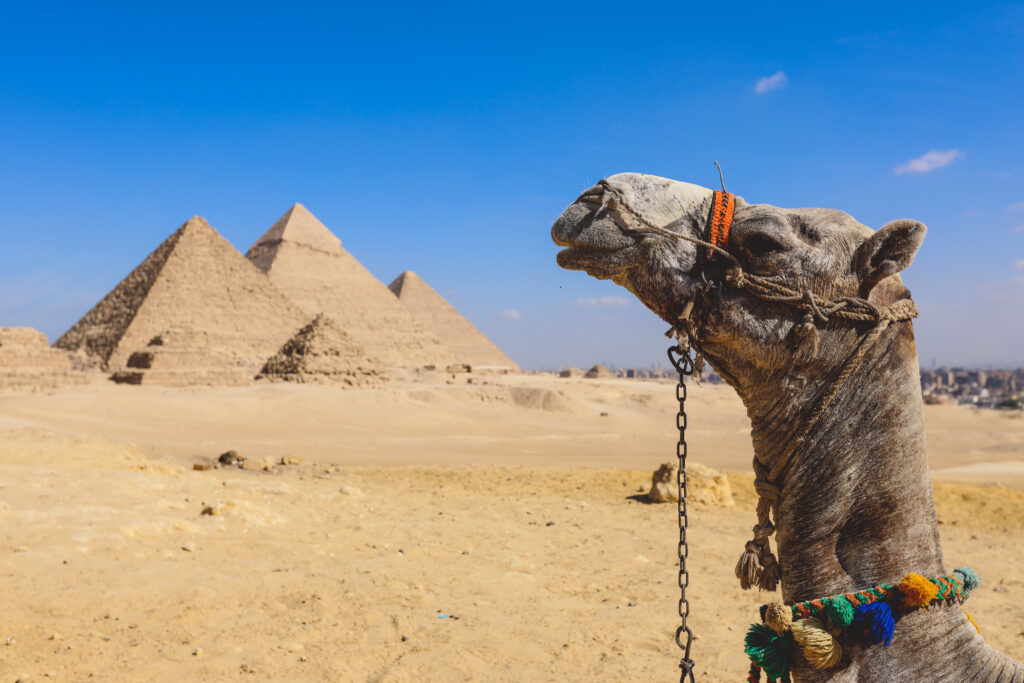 Egyptian eVisa for Citizens of Slovenia