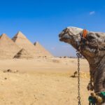 Egyptian eVisa for Citizens of Slovenia