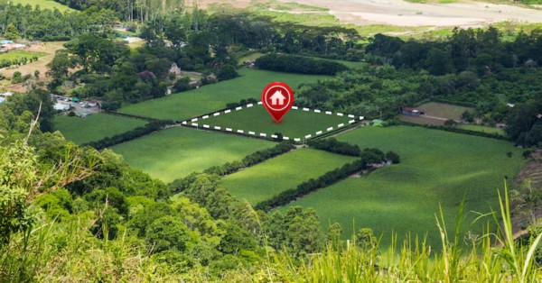 Shapoorji Pallonji Treetopia Phase 1 – Premium Plotted Development in Pune