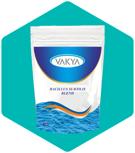 Probiotic Manufacturers in India: Driving Gut Health Innovation with Vakya Prob