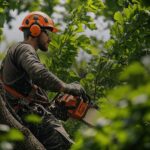How Long Does a Professional Tree Removal Take in Marietta GA?