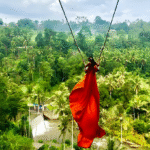 What Makes Bali Swing Pioneer a Must-Visit Attraction