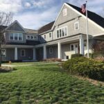 The Best Ways to Protect Your Weymouth Roof from Algae Growth