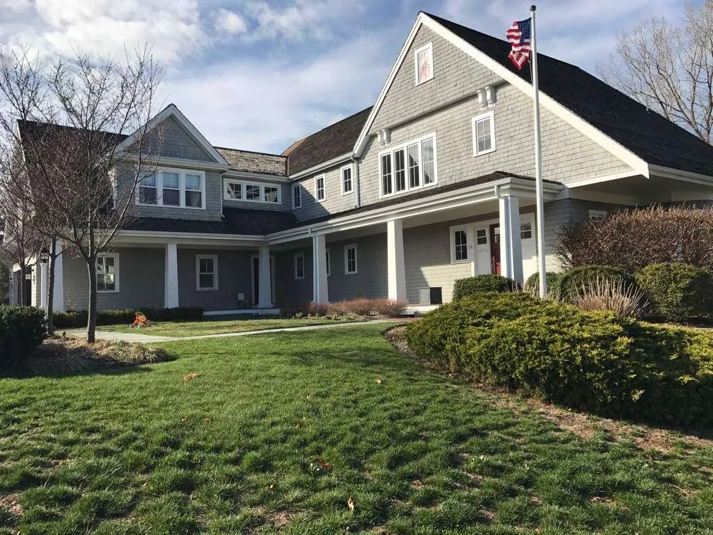 The Best Ways to Protect Your Weymouth Roof from Algae Growth