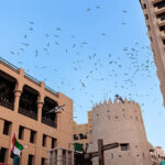 Bird Spikes vs. Netting vs. Pigeon Spikes: