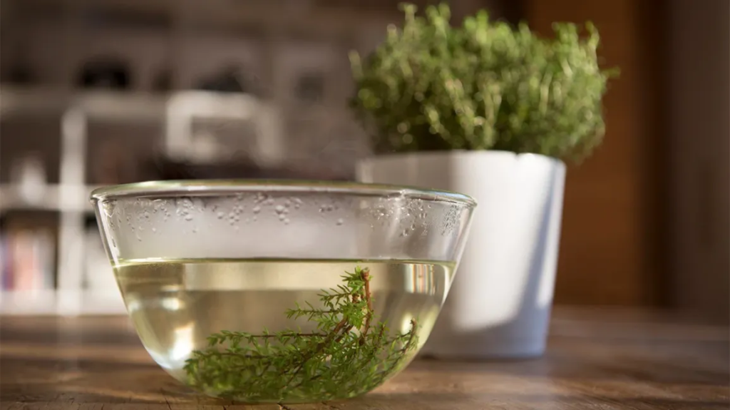 Emphysema Natural Supplements That Are Changing Lives in 2026