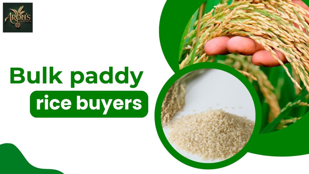 Bulk Paddy Rice Buyers: What to Look for in Reliable Suppliers