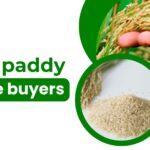 Bulk Paddy Rice Buyers: What to Look for in Reliable Suppliers