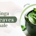Organic Moringa Leaves for Sale: From Sustainable Farms to Global Markets