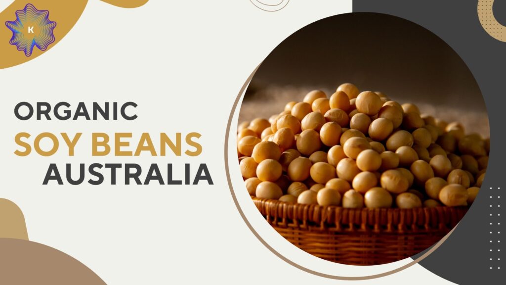 Organic Soy Beans Australia: Quality, Farming, and Global Demand