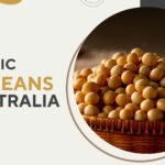 Organic Soy Beans Australia: Quality, Farming, and Global Demand