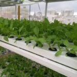 Farm Mechanized Products Manufacturer & Exporter | Aspeess