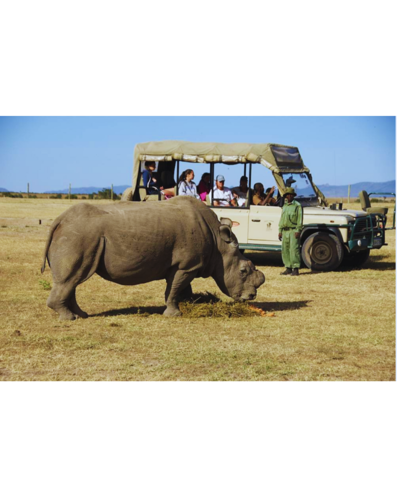Tanzania Safaris & Tours | Wildlife Adventures & Trips