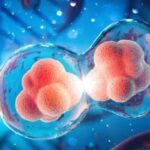 Systemic vs. Localized: The Versatility of Acellular Applications