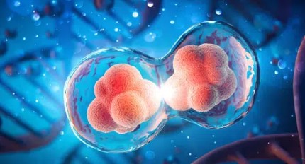 Systemic vs. Localized: The Versatility of Acellular Applications