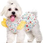 Dog Clothing Online: Combining Comfort, Style, and Protection
