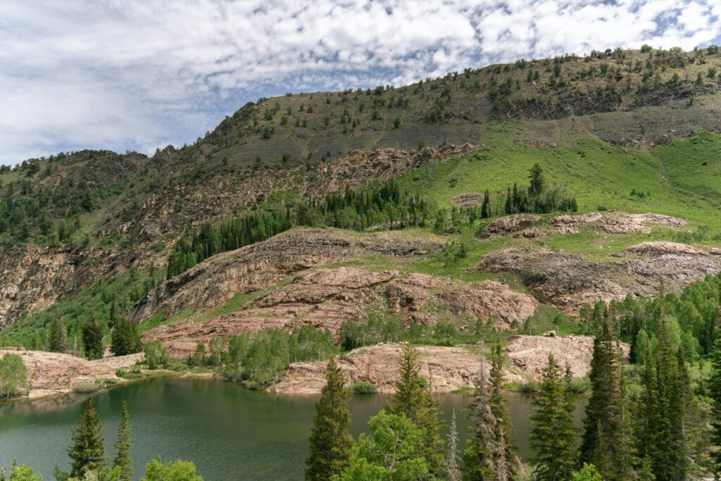 Land for Sale in Yaounde: Complete Guide for Buyers