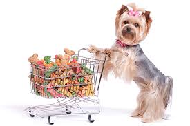 Pet Shop Online: Premium Pet Products Delivered to Your Door