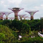 Romantic Night Experiences in Singapore You Shouldn’t Miss