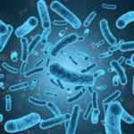 Probiotic Contract Manufacturer: Empowering Brands with Reliable & Scalable Solutions