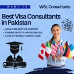 Best Visa Consultants in Pakistan
