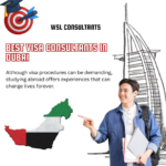 Best Visa Consultants in Dubai
