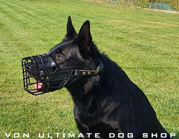 Best Breathable Dogs Muzzle for Long Wear