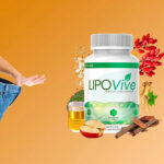 ProZenith 2026: Natural Metabolism & Fat Burn Support