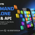 Enter Any Niche Market Swiftly with Our On-Demand Clone Script for Startups