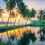 Kerala Honeymoon Packages: A Complete Guide to God’s Own Country